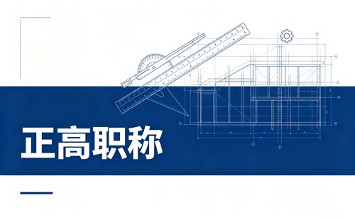 国际标准正高级工程师职称